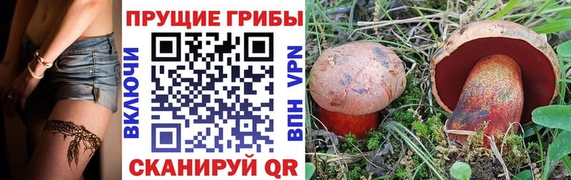 Галлюциногенные грибы Cubensis купить цена Томари